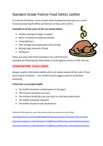 Web Site Info for Festive Food Safety