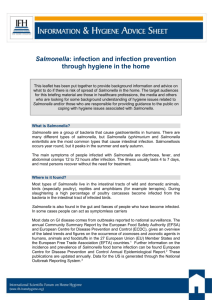 Salmonella - Home Hygiene & Health