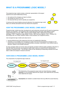 What is a programme logic model?