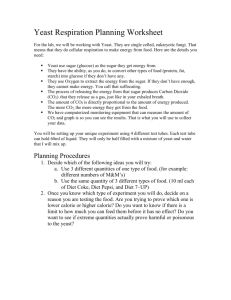 Yeast Respiration Planning Worksheet