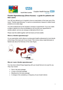 Croydon Patient Information Leaflet 19.01.12