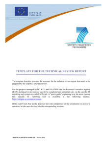 template for the technical review report