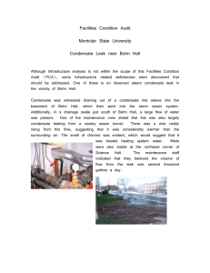 Subject: Observed Steam Condensate Leaks at the Northeast
