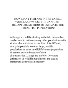 HOW MANY FISH ARE IN THE LAKE…