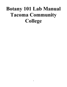 Laboratory 6: Pea Lab - Tacoma Community College