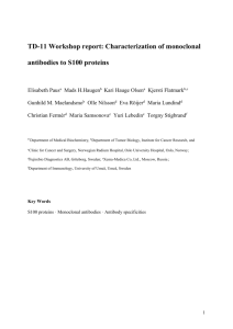 Anti-S100 antibody workshop (ISOBM TD11), text version