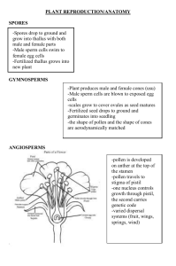 PLANT REPRODUCTION/ANATOMY