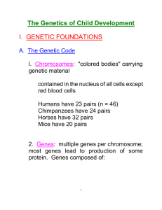 The Genetics of Child Development