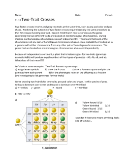 Homework help genetics two trait crosses