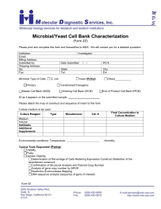 Microbial-Yeast Cell Bank Characterization Form (ZZ)
