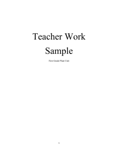 Teacher Work Sample Level III