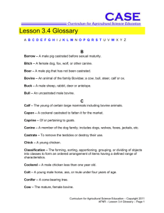 Lesson 3.4 Glossary