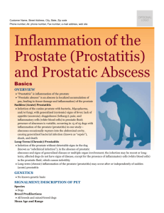 inflammation_of_the_prostate