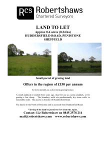 Land at Thick Hollins Moor