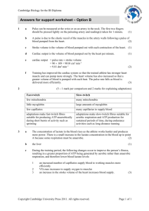 Answers for support worksheet – Option B