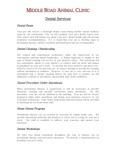 Dental Services - Middle Road Animal Clinic