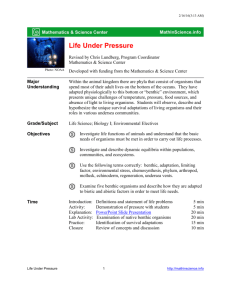 Life Under Pressure - MathinScience.info