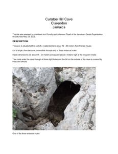 Curatoe Hill Cave - The Jamaican Caves Organisation