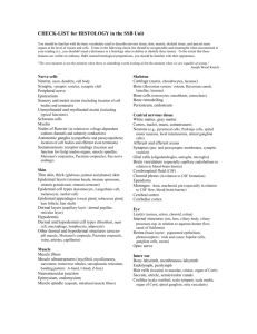 CHECK-LIST for HISTOLOGY in the SSB Unit