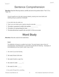 Level 4 Lesson 3 Sentence Comprehension Directions: Read the