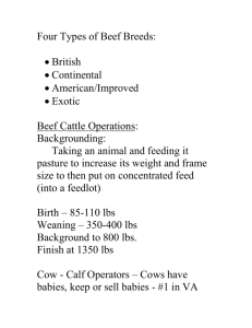 Four Types of Beef Breeds: - NAAE Communities of Practice