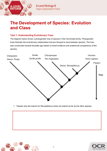 The development of species activity - Topic exploration (DOC