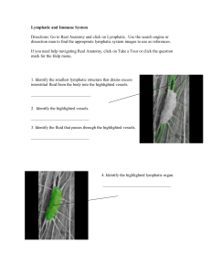 Lower Limb Skeletal Anatomy Worksheet