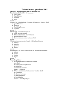 Endocrine test questions 2005