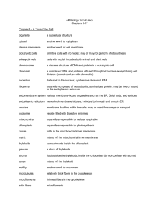 Ch 6-17 Vocabulary List with Definitions