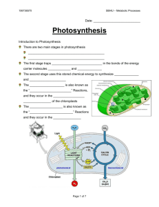 11 - Photosynthesis