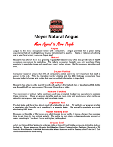 Meyer Natural Angus More Appeal to More People Angus Angus is