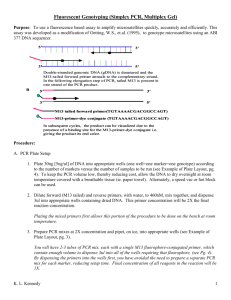 Fluorescent Genotyping (Simplex PCR, Multiplex Gel)