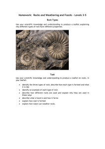 Mid-Topic Test: Topic 8, Weathering and Fossils – Levels 3–5