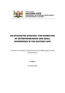 4th Draft Provincial SMME Strategy