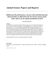 Rabbit growth performance, carcass traits and hind