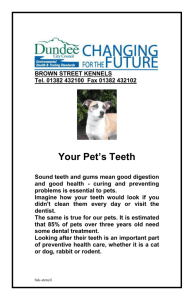 Your Pet`s Teeth - Dundee City Council
