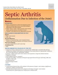 septic_arthritis