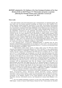 Report 2007 of the Russian National Group on the IGCP Project 555