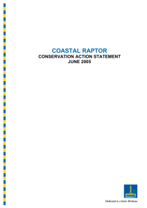coastal raptor - Brisbane City Council