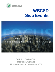 Scoping Meeting: Notes - World Business Council for Sustainable