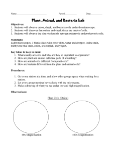 Short Plant, Animal, and Bacteria Lab - WAHS
