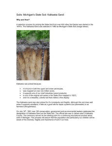 Soils: Michigan`s State Soil: Kalkaska Sand