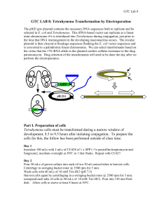 GTC LAB 8: Tetrahymena Transformation by Electroporation