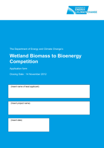 Wetland Biomass to Bioenergy Competition application form