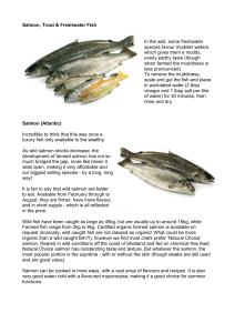 Salmon, Trout & Freshwater fish