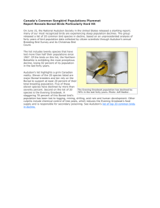 Canada`s Common Songbird Populations Plummet