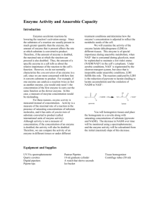 Enzyme Activity and Substrate Specificity