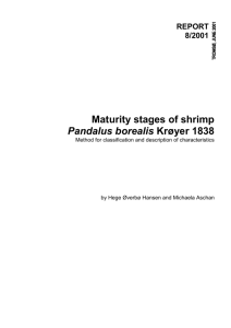1 Description of maturity stages for Pandalus borealis