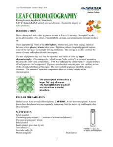 Leaf Chromatography
