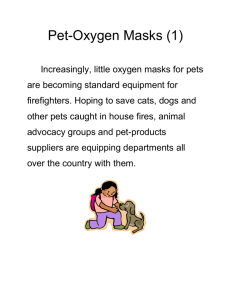 Pet-Oxygen Masks